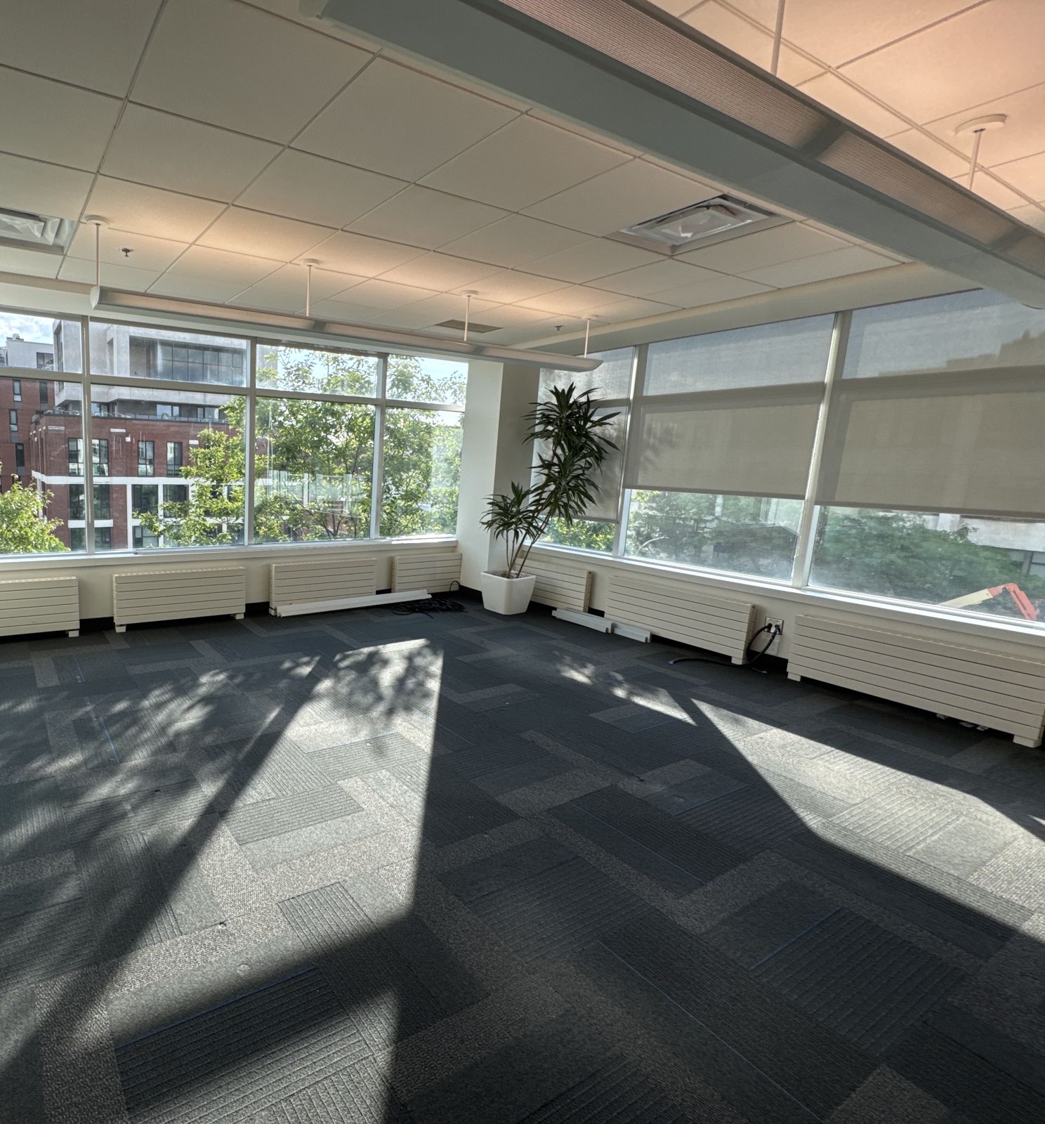 New office build-out ◆ Montréal